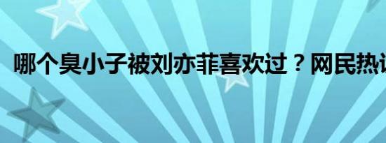 哪个臭小子被刘亦菲喜欢过？网民热议不断