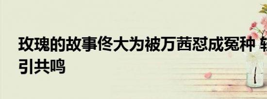 玫瑰的故事佟大为被万茜怼成冤种 轻松喜剧引共鸣