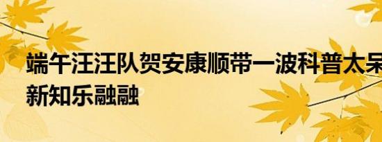 端午汪汪队贺安康顺带一波科普太呆萌 传统新知乐融融