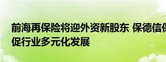 前海再保险将迎外资新股东 保德信保险入局促行业多元化发展