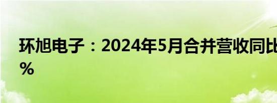 环旭电子：2024年5月合并营收同比增1.28%