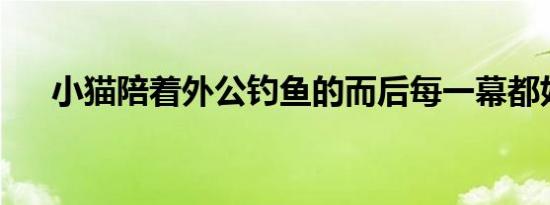 小猫陪着外公钓鱼的而后每一幕都好暖