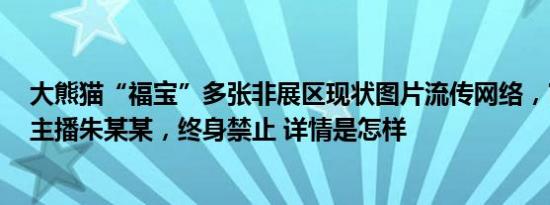 大熊猫“福宝”多张非展区现状图片流传网络，官方通报：主播朱某某，终身禁止 详情是怎样