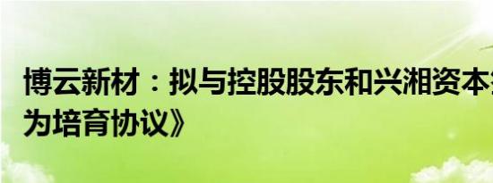 博云新材：拟与控股股东和兴湘资本签署《代为培育协议》