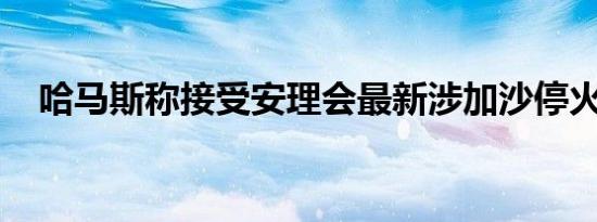 哈马斯称接受安理会最新涉加沙停火决议