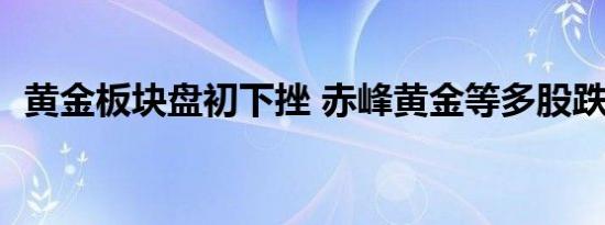 黄金板块盘初下挫 赤峰黄金等多股跌超5%