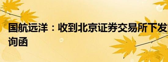 国航远洋：收到北京证券交易所下发的年报问询函