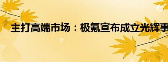 主打高端市场：极氪宣布成立光辉事业部