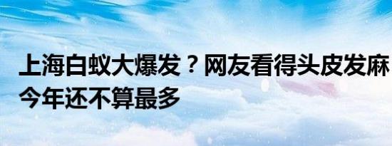 华大智造：拟实施2024年员工持股计划 筹集资金上限3778.68万元