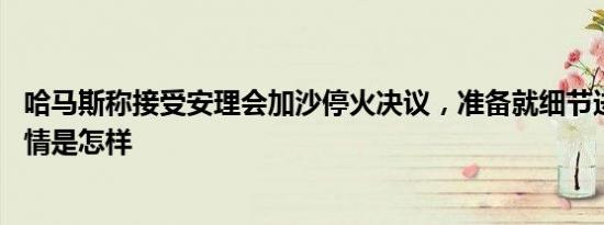 哈马斯称接受安理会加沙停火决议，准备就细节进行谈判 详情是怎样