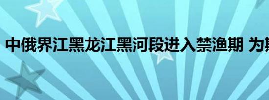 中俄界江黑龙江黑河段进入禁渔期 为期35天