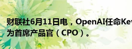 财联社6月11日电，OpenAI任命Kevin Weil为首席产品官（CPO）。