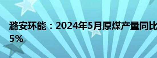 潞安环能：2024年5月原煤产量同比下降8.75%