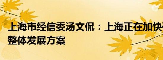 上海市经信委汤文侃：上海正在加快研究储能整体发展方案