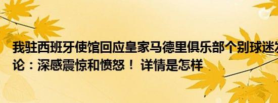 我驻西班牙使馆回应皇家马德里俱乐部个别球迷发表辱华言论：深感震惊和愤怒！ 详情是怎样