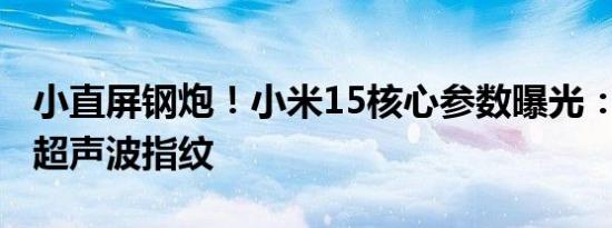 小直屏钢炮！小米15核心参数曝光：1.5K屏、超声波指纹