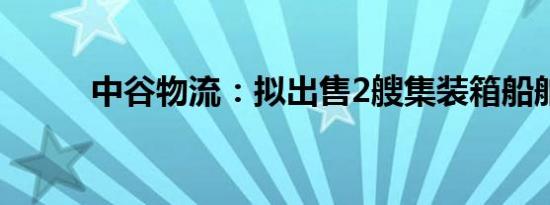 中谷物流：拟出售2艘集装箱船舶