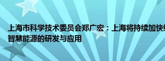 上海市科学技术委员会郑广宏：上海将持续加快绿色能源和智慧能源的研发与应用