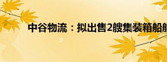 中谷物流：拟出售2艘集装箱船舶