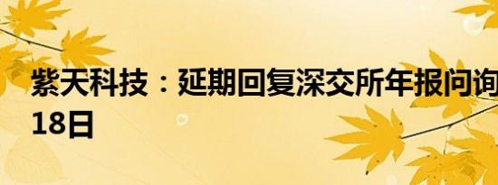 紫天科技：延期回复深交所年报问询函至6月18日