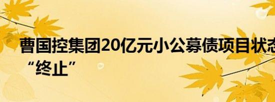 曹国控集团20亿元小公募债项目状态更新为“终止”