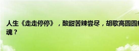 人生《走走停停》，酸甜苦辣尝尽，胡歌高圆圆疗愈焦灼灵魂？