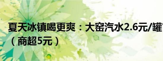 夏天冰镇喝更爽：大窑汽水2.6元/罐官方新低（商超5元）