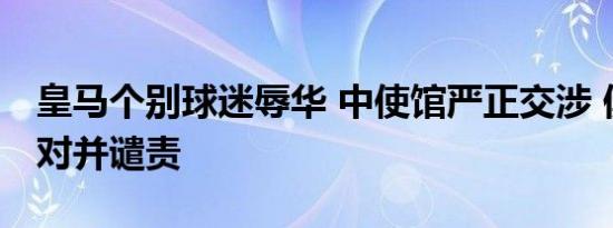 皇马个别球迷辱华 中使馆严正交涉 俱乐部反对并谴责