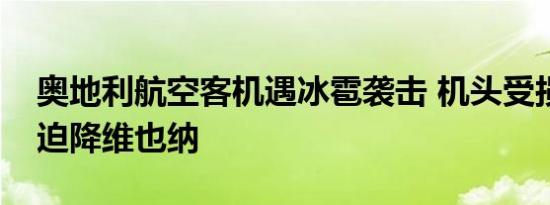 奥地利航空客机遇冰雹袭击 机头受损，安全迫降维也纳