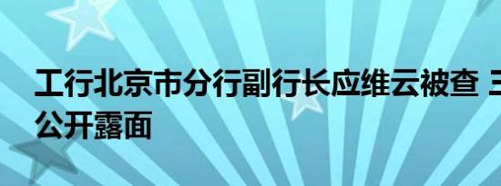 工行北京市分行副行长应维云被查 三周前曾公开露面