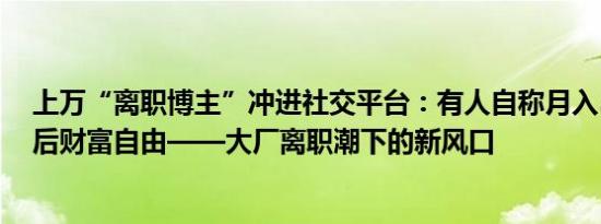 上万“离职博主”冲进社交平台：有人自称月入5万，裸辞后财富自由——大厂离职潮下的新风口