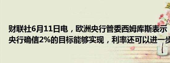 财联社6月11日电，欧洲央行管委西姆库斯表示，如果欧洲央行确信2%的目标能够实现，利率还可以进一步降低。