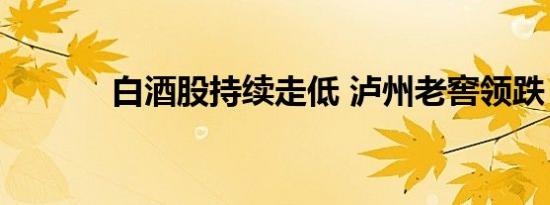 白酒股持续走低 泸州老窖领跌