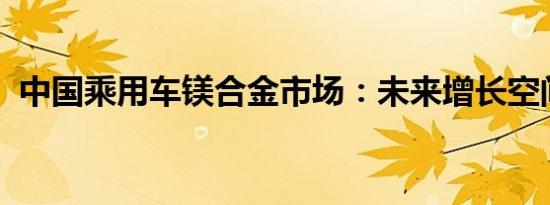 中国乘用车镁合金市场：未来增长空间巨大