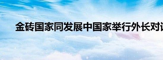 金砖国家同发展中国家举行外长对话会