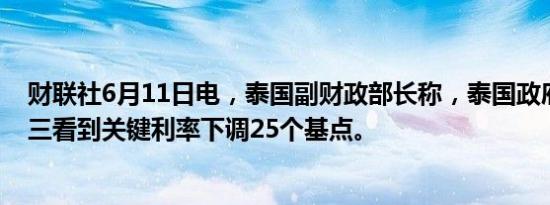 财联社6月11日电，泰国副财政部长称，泰国政府希望在周三看到关键利率下调25个基点。