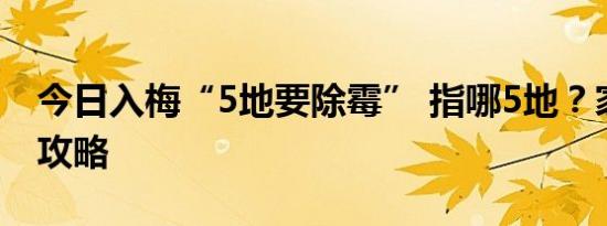 今日入梅“5地要除霉” 指哪5地？家居防潮攻略