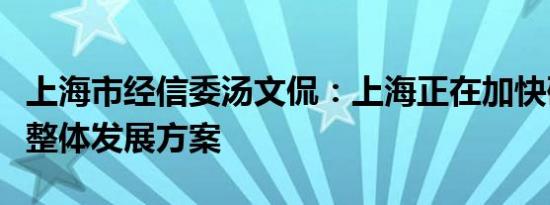 上海市经信委汤文侃：上海正在加快研究储能整体发展方案