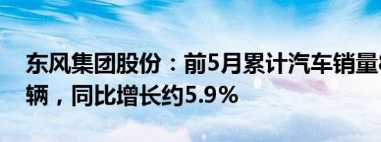 东风集团股份：前5月累计汽车销量81.19万辆，同比增长约5.9%