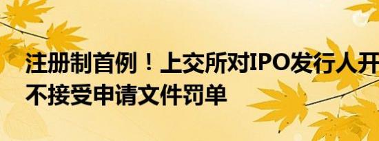 注册制首例！上交所对IPO发行人开出5年内不接受申请文件罚单