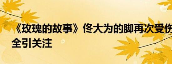 《玫瑰的故事》佟大为的脚再次受伤 剧组安全引关注