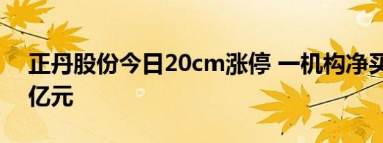 正丹股份今日20cm涨停 一机构净买入1.07亿元