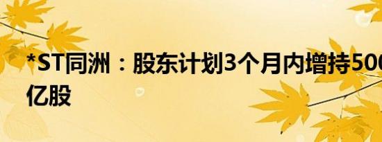 *ST同洲：股东计划3个月内增持5000万至1亿股