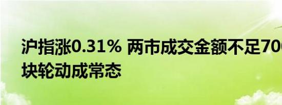 沪指涨0.31% 两市成交金额不足7000亿 板块轮动成常态