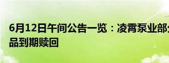 6月12日午间公告一览：凌霄泵业部分理财产品到期赎回