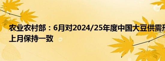 农业农村部：6月对2024/25年度中国大豆供需形势预测与上月保持一致