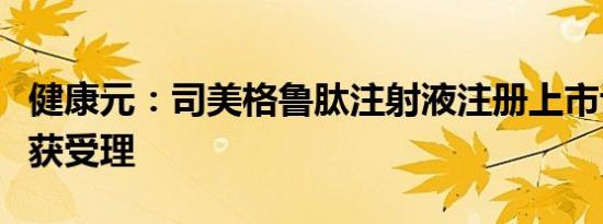 健康元：司美格鲁肽注射液注册上市许可申请获受理