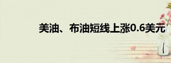 美油、布油短线上涨0.6美元