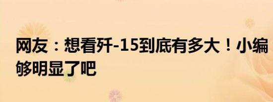 网友：想看歼-15到底有多大！小编：这对比够明显了吧