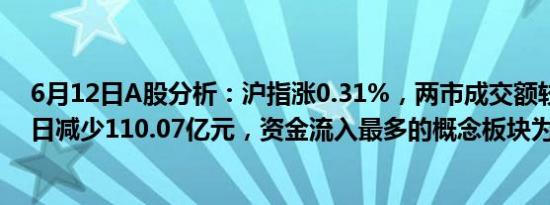 6月12日A股分析：沪指涨0.31%，两市成交额较上一交易日减少110.07亿元，资金流入最多的概念板块为CRO